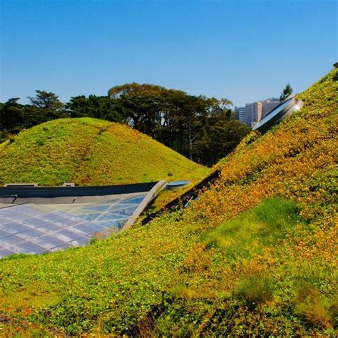 Inspiring Green Roof Design Ideas || Politz Enterprises Roofing