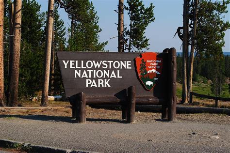 Yellowstone National Park Sign Photograph by Renee Perran