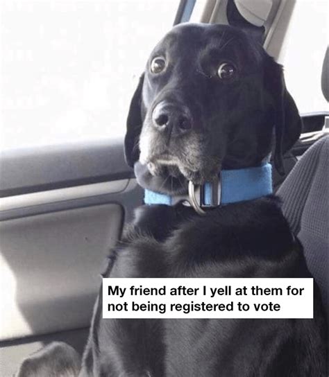 24 Funny And Cute Voting Memes Because You Gotta Vote And Make Your | Free Nude Porn Photos