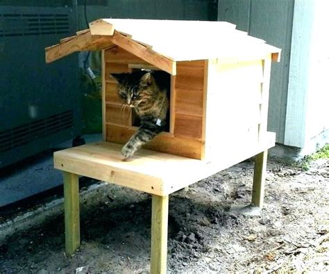 how to build an outdoor cat house s insulated outdoor cat house plans shelter making a heated ...