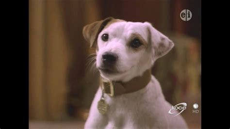 Wishbone "Twisted Tail" season 1 episode 3 - YouTube