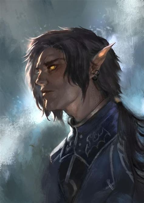 Male PC Portrait | Fantasy art illustrations, Elf art, Male elf