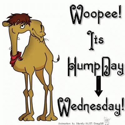 Wednesday Woope GIF - Wednesday Woope HumdDay - Discover & Share GIFs