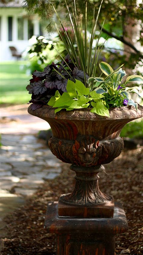 Fill in gaps in your shaded areas with a container of shade loving ...