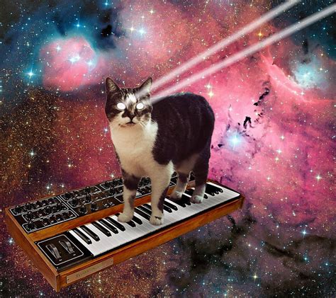 1080P free download | Synthesizer Kitty, attack, cat, eyes, laser beam ...