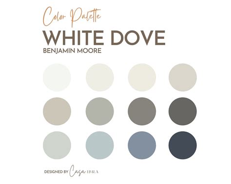 Color Palette With White Dove - Image to u