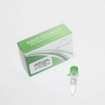 SYBR Green qPCR 2X Master Mix | igSYBR™ | Intact Genomics