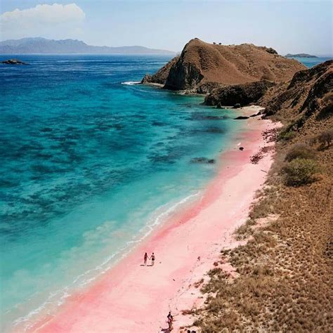 Wisata Pink Beach, Labuan Bajo: Rute, Lokasi dan Biayanya