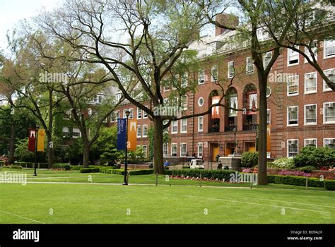 Brooklyn College CUNY campus in Brooklyn, NY Stock Photo - Alamy