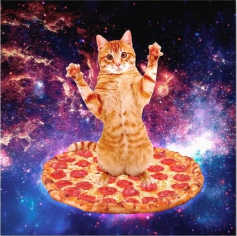 Pizza Cat Space Memes - Imgflip