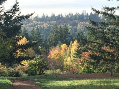 Fall Colors in Portland: Hoyt Arboretum - Author Paul Gerald