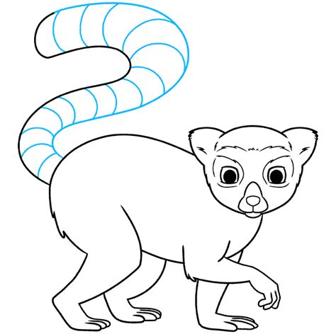 How to Draw a Lemur - Really Easy Drawing Tutorial