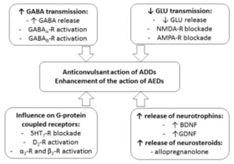 SAR of Anticonvulsants and Mechanism of Anticonvulsant Action ...