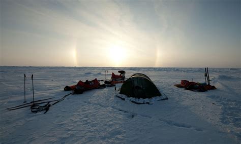 How big is the Arctic Ocean? And eight other Arctic facts | Stories | WWF