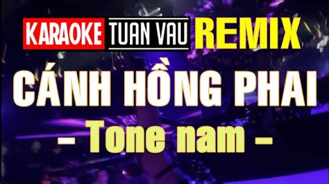 「karaoke」Cánh Hồng Phai - Tone nam - Remix - YouTube