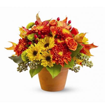 November Flowers Arrangement in Phoenix, AZ - La Ocasion Flower Shop