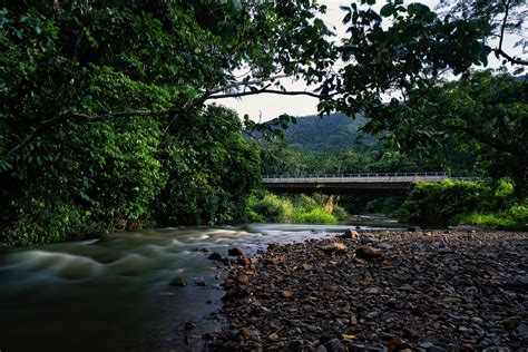 River Bridge Hummingbird Highway - Free photo on Pixabay