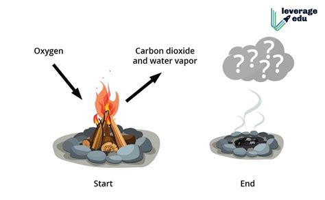 What Are Physical and Chemical Changes - Leverage Edu