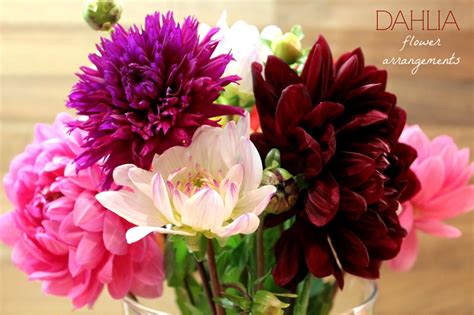 Dahlia Flower Arrangement