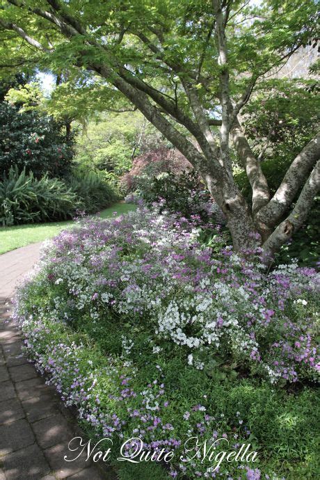 The Camellia Gardens Tea House, Caringbah @ Not Quite Nigella