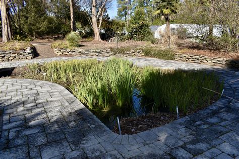 Juniper Level Botanic Garden: Sunken Pond Garden | North Carolina ...