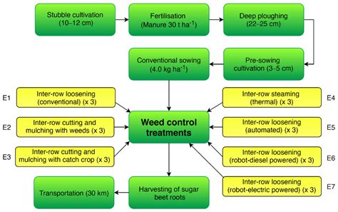 Agriculture | Free Full-Text | Influence of Mechanical and Intelligent Robotic Weed Control ...