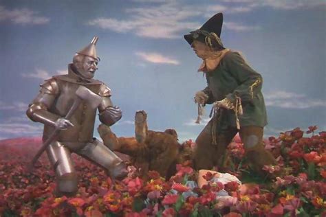 In The Poppy Field - The Wizard of Oz Photo (6376681) - Fanpop