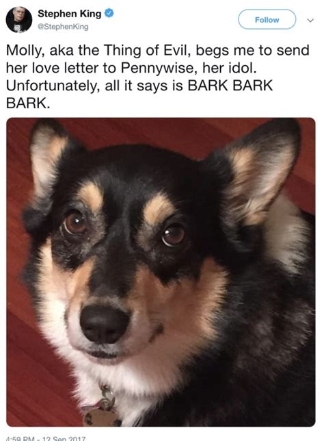 Stephen King's Tweets About His Corgi Molly Is The Best Thing On The Internet