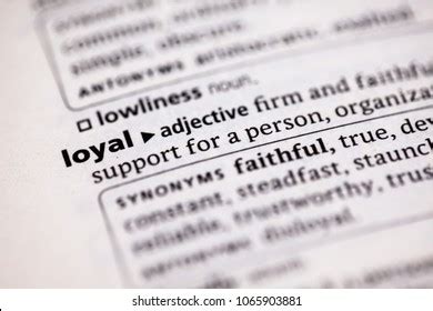 Loyalist Images, Stock Photos & Vectors | Shutterstock