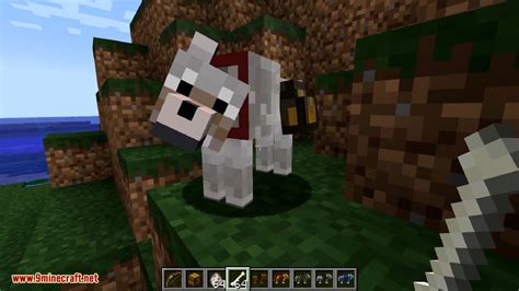 Wolf Armor & Storage Mod 1.12.2/1.11.2 (Minor Tweaks for Wolves) - 9Minecraft.Net