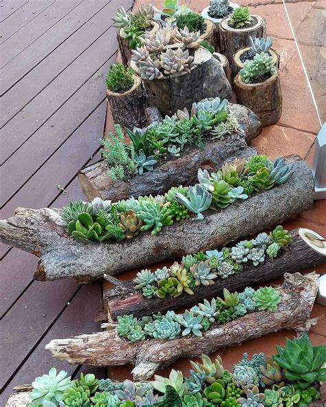 31 Beautiful Outdoor Succulent Planter Ideas - MAGZHOUSE