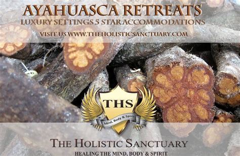 Your First Ayahuasca Treatment: What to Know and Expect