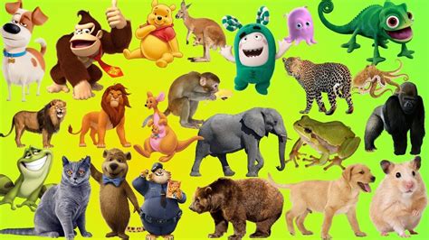 Animals Video Songs Play