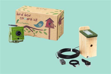 6 of the Best Bird Box Cameras to Buy - BBC Gardeners' World Magazine