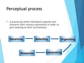 Perceptual Process - Organizational Behaviour | PPT