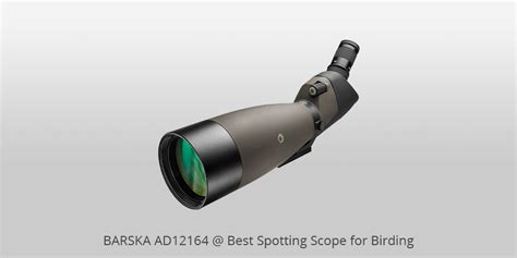 9 Best Spotting Scopes for Birding in 2024