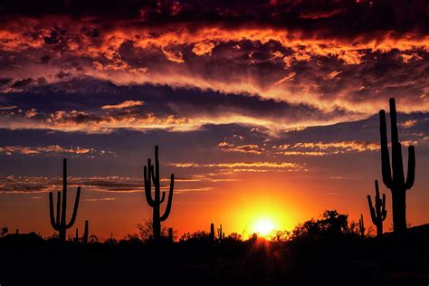 Colorful Silhouette Sunset Skies Of Arizona Photograph by Saija Lehtonen - Fine Art America