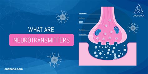 Neurotransmitters, Example, Function, vs Hormones, Classification