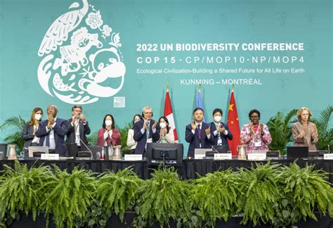 What Is the Kunming-Montreal Global Biodiversity Framework?