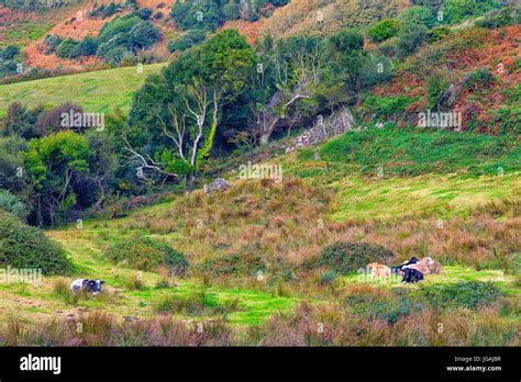 Cotentin peninsula hi-res stock photography and images - Alamy