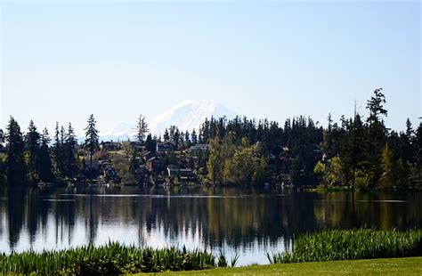 Maple Valley WA: About Maple Valley Living