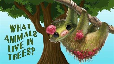 Video for Kids about Animals that live in trees - Animal Sounds and Names - YouTube