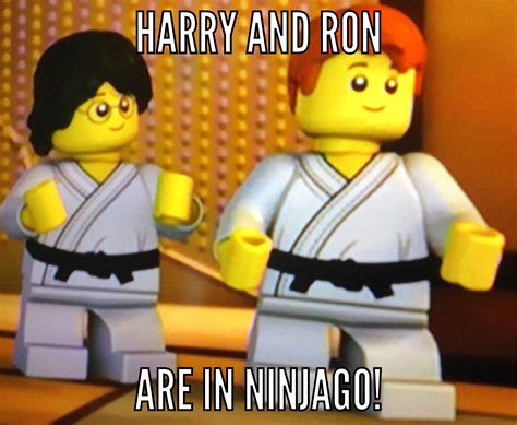 Pin by Cherish Berman on Lego Ninjago | Ninjago memes, Ninjago, Lego ...