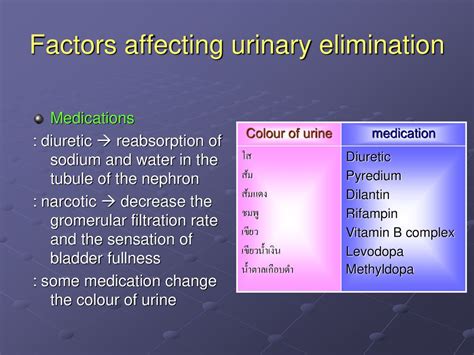 Promotion urinary elimination and the nursing process - ppt ดาวน์โหลด