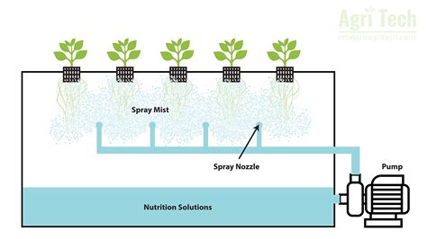 Aeroponic Vertical Farming Saves Space Labor Energy Water