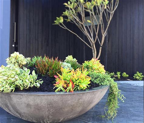 Litestone Zen Bowl | Garden Planter | WG Outdoor Life | Perth