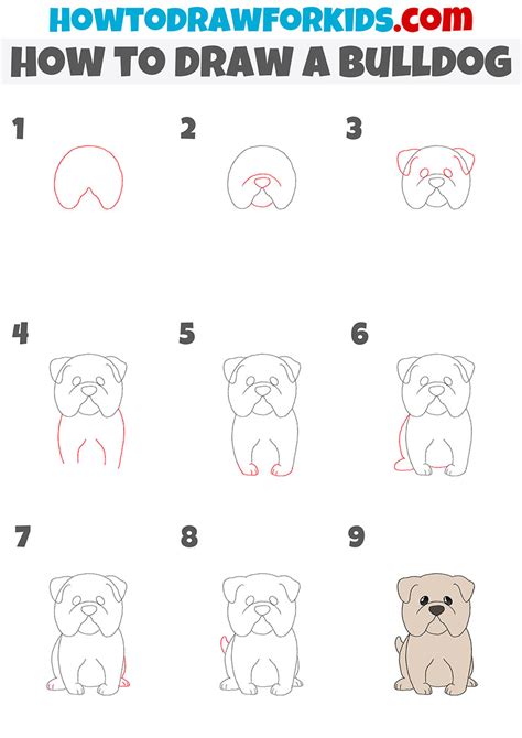 How to Draw a Bulldog - Easy Drawing Tutorial For Kids