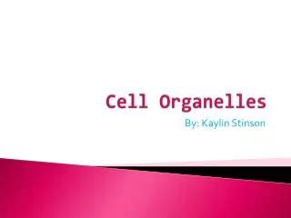 PPT - Cell Organelles and their Functions PowerPoint Presentation, free download - ID:1087097