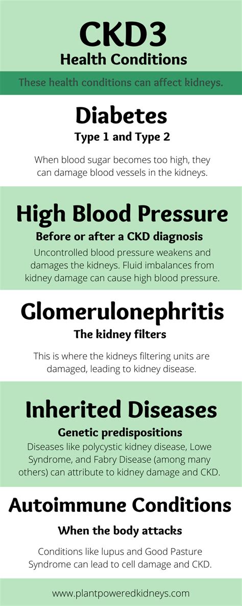 Chronic Kidney Disease Stage 3: The Ultimate Guide