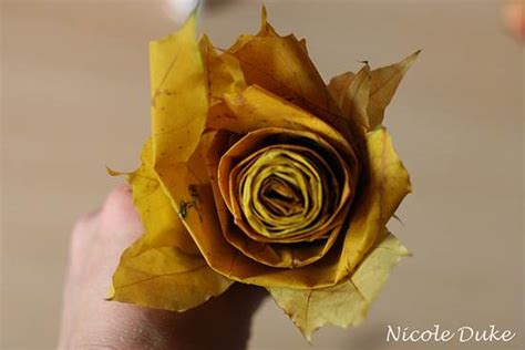 Creative DIY Maple Leaf Roses in 6 Easy Steps - DIY & Crafts